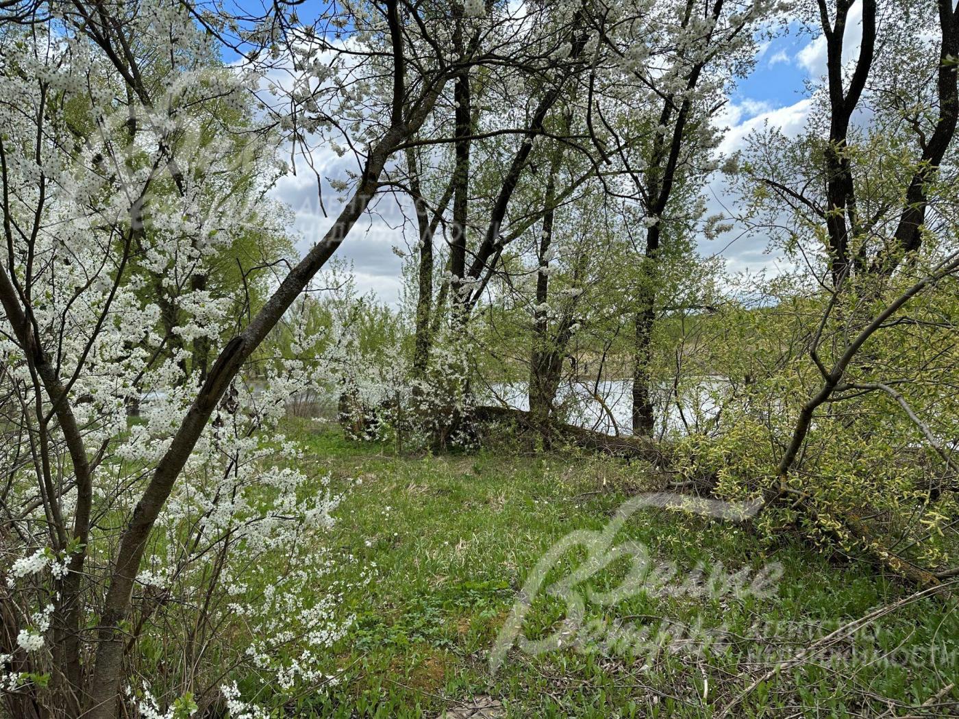 Участок граничит с большим прудом