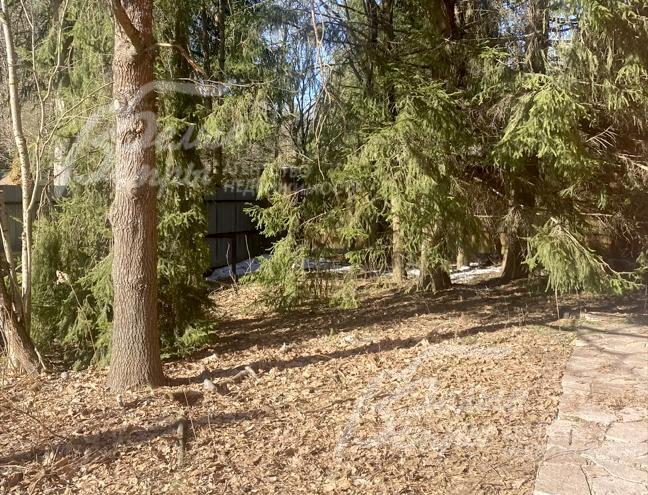 Участок выглядит привлекательно в любое время года, в том числе благодаря растущим на нём многолетним соснам