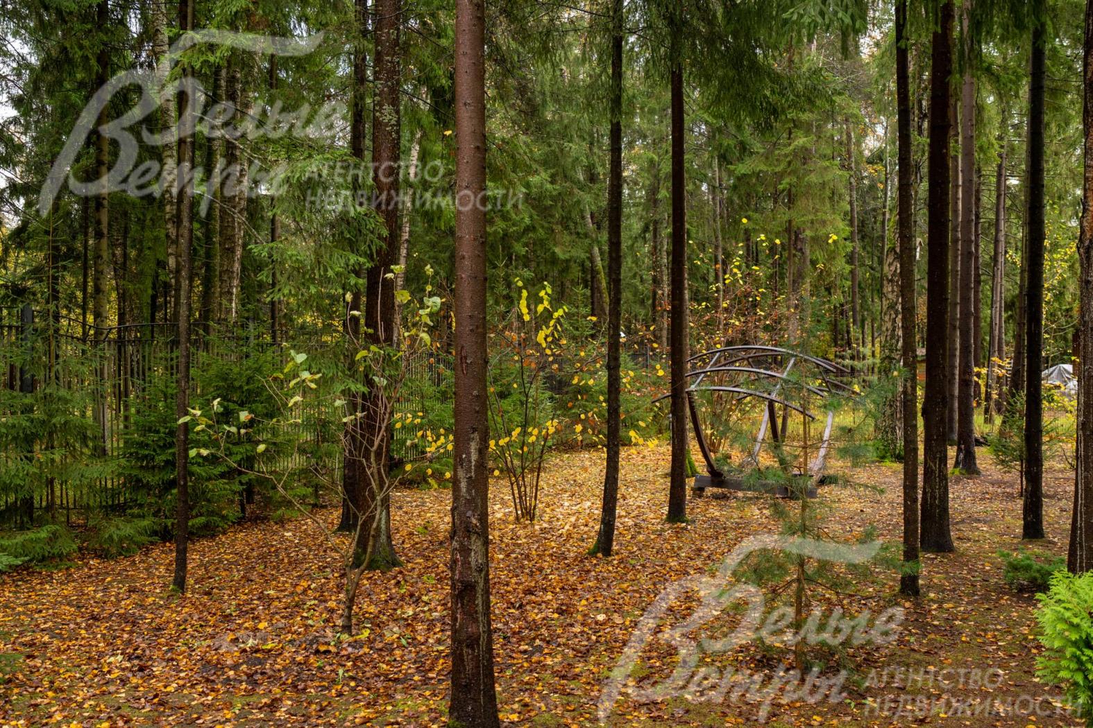 На участке есть большой деревянный гамак