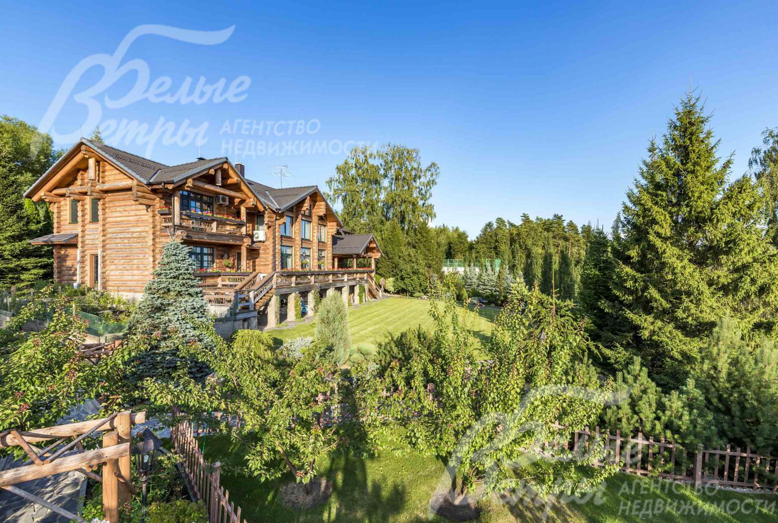 На участке редкие деревья и кустарники