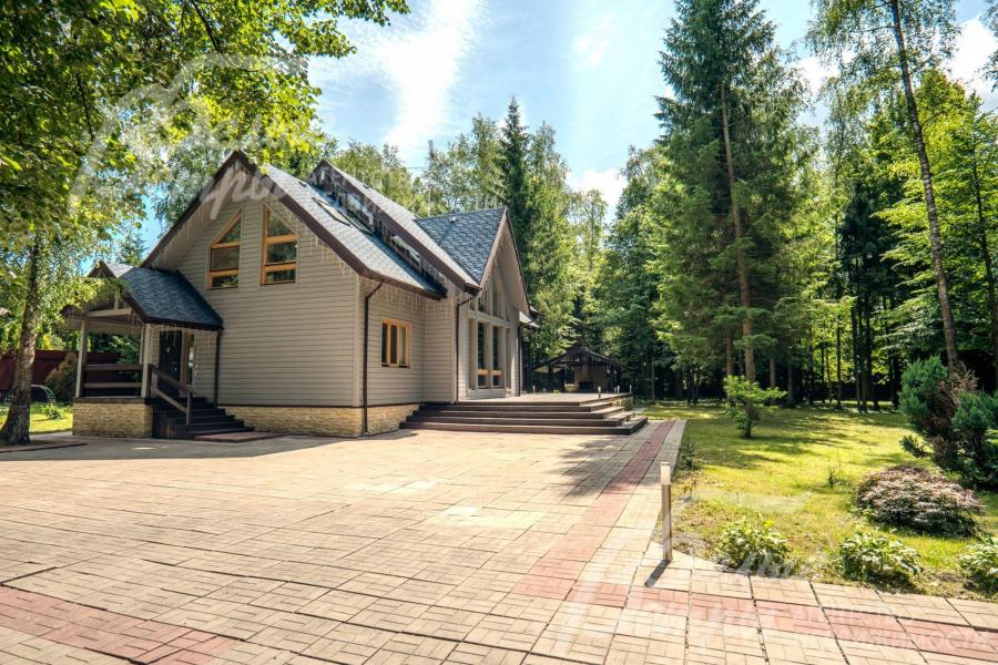 Лес на участке прорежен, растут лиственницы, берёзы, сосны, яблони