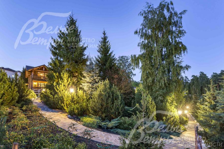 Приобретались взрослые деревья из лучших питомников Германии