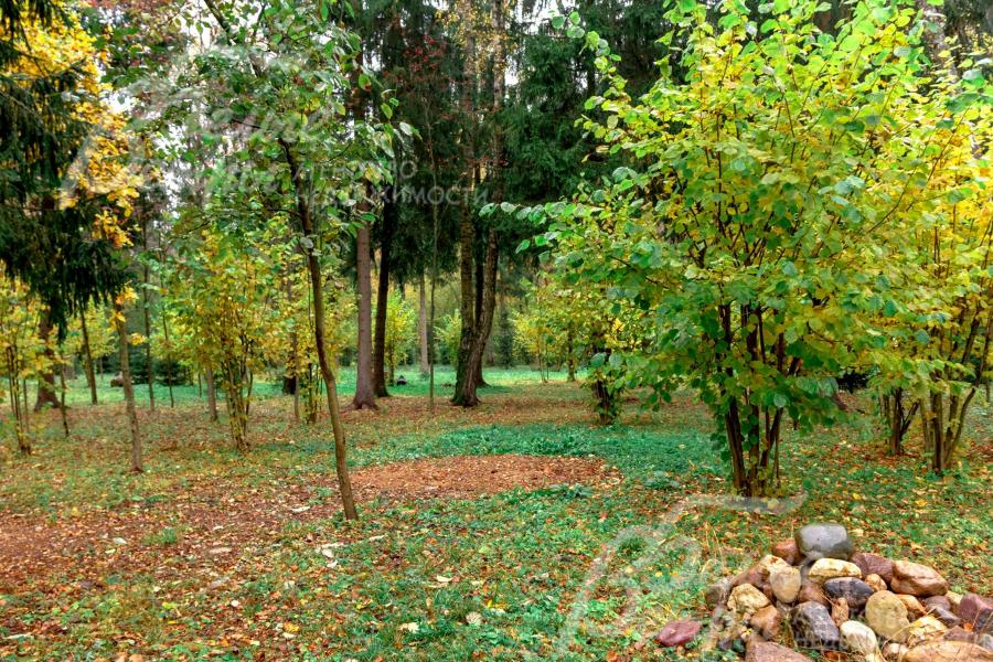 Участок прилегает к лесу, находится на границе коттеджного посёлка в тупике