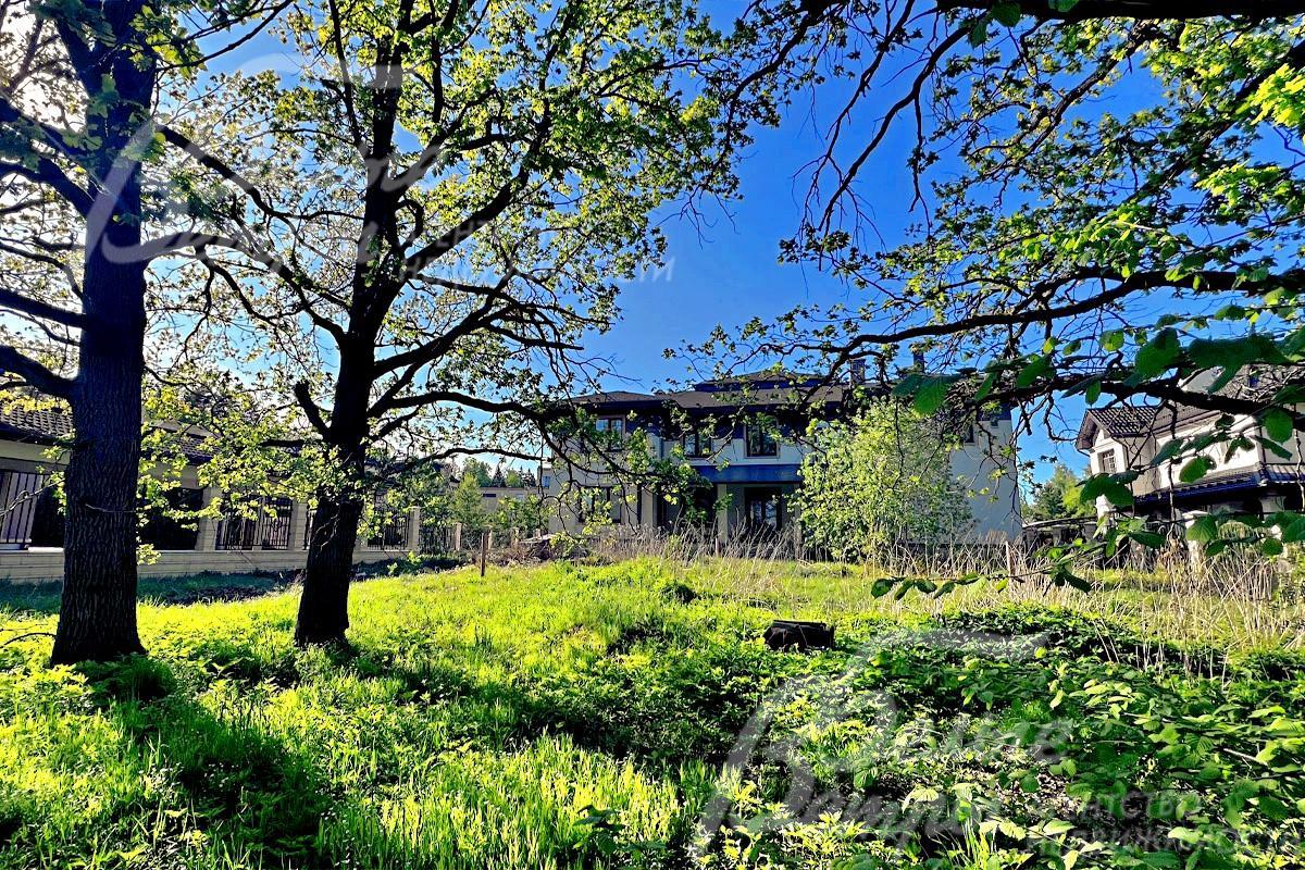 На территории участка растут вековые дубы