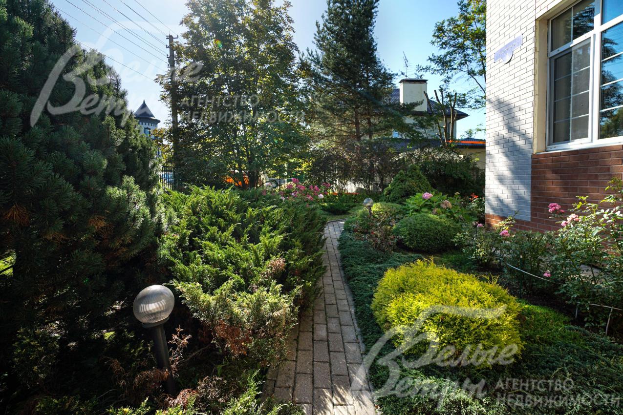 Среди деревьев на участке: 2 дуба, каштан, голубые ели 7 и 10 м, сосны высотой до 10 м, кедр (плодоносит), красный клён, яблони, рябина, туи высотой 6 м