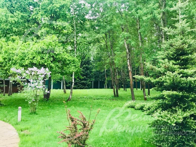 На участке множество взрослых деревьев и декоративных кустарников.