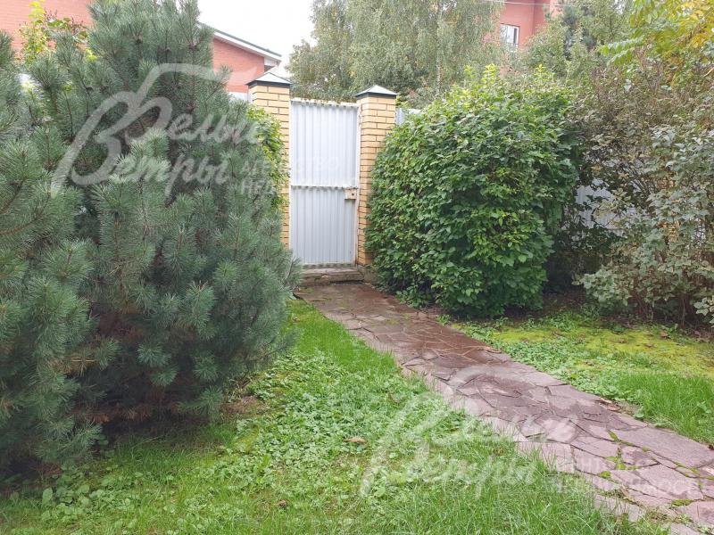 Взрослые деревья