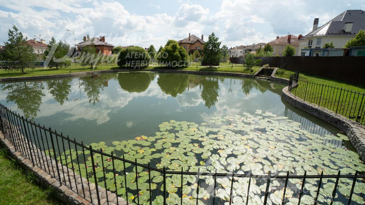 Пруд в поселке