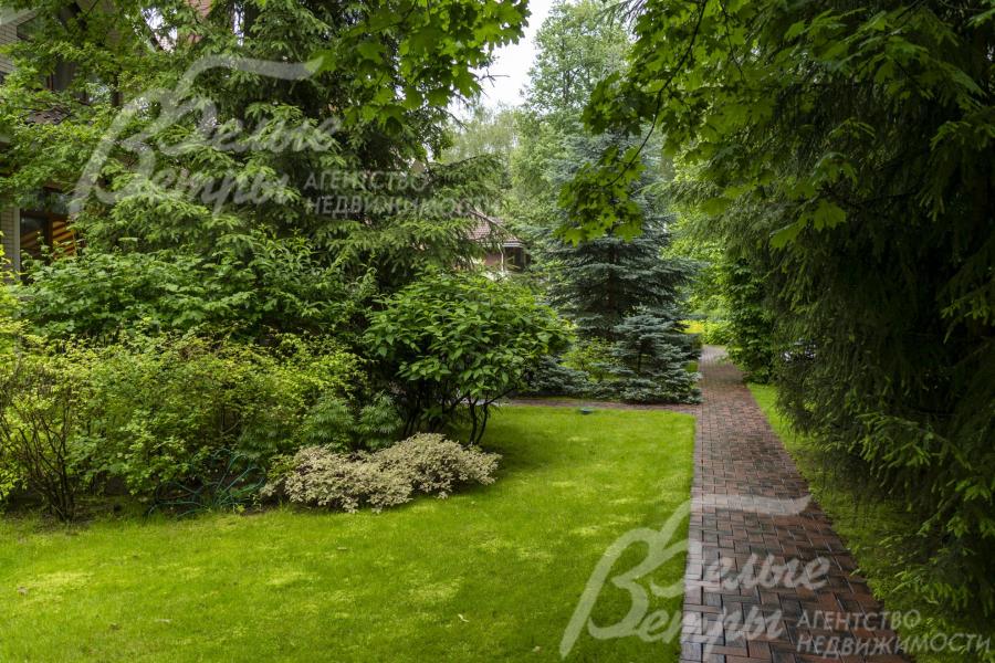 Тенистая дорожка участка пролегает под сенью сохранённых лесных деревьев