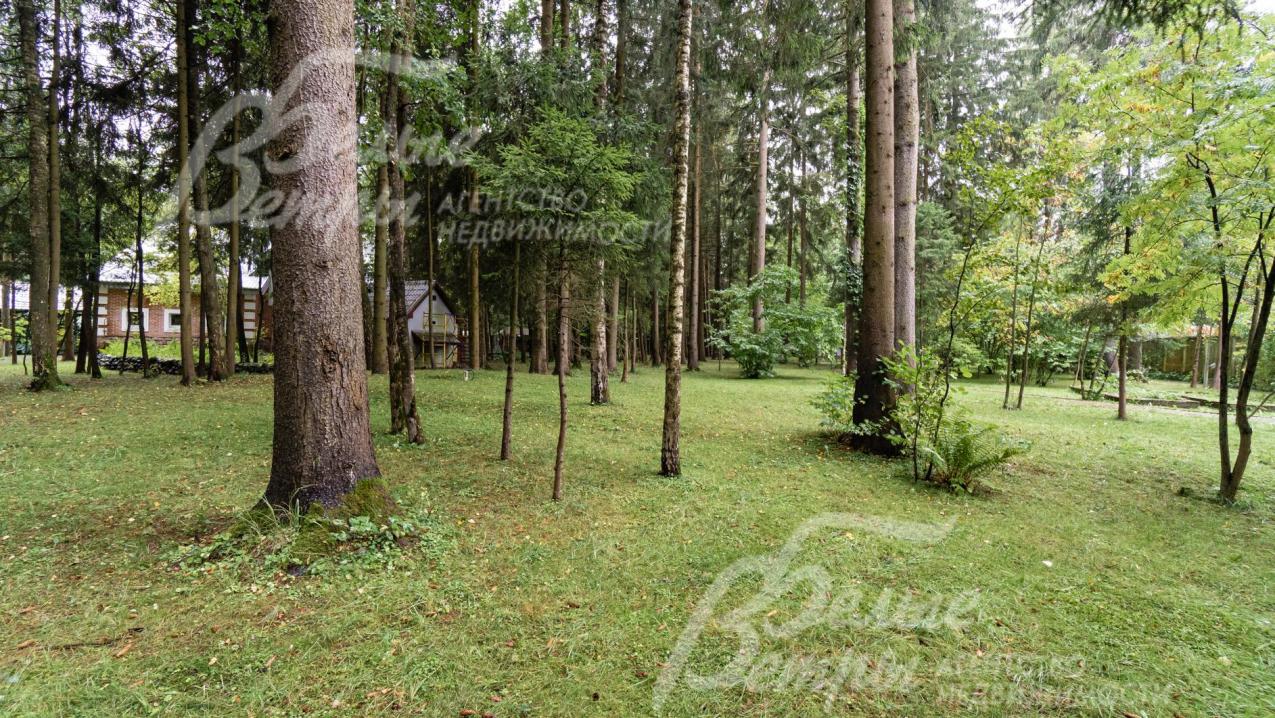 Участок с вековыми деревьями