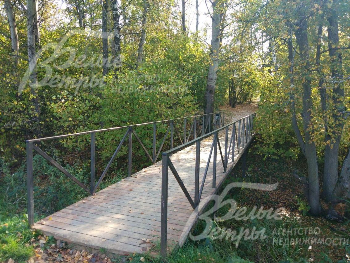 Прогулочная зона в лесу 