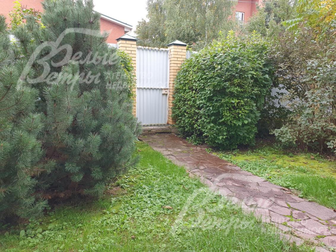 Взрослые деревья