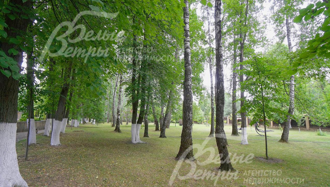 На участке 23 ели, 16 сосен, 53 березы, 52 липы, кедр, 10 кленов, 7 дубов, 4 каштана, туи, декоративные кустарники, цветники, водопад, перголы с вьющимися растениями, фруктовый сад из 21 плодовых деревьев (яблони, черешни, вишни).