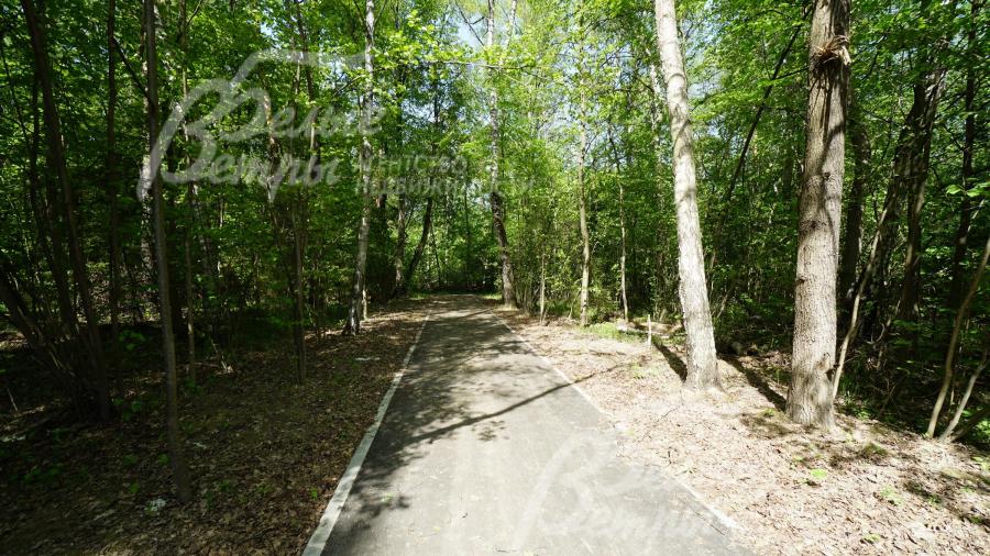 Поселок граничит с лесным массивом с обустроенными прогулочными зонами.