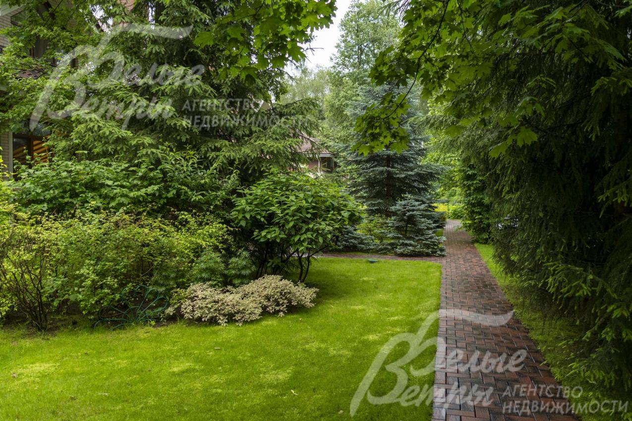 Тенистая дорожка участка пролегает под сенью сохранённых лесных деревьев