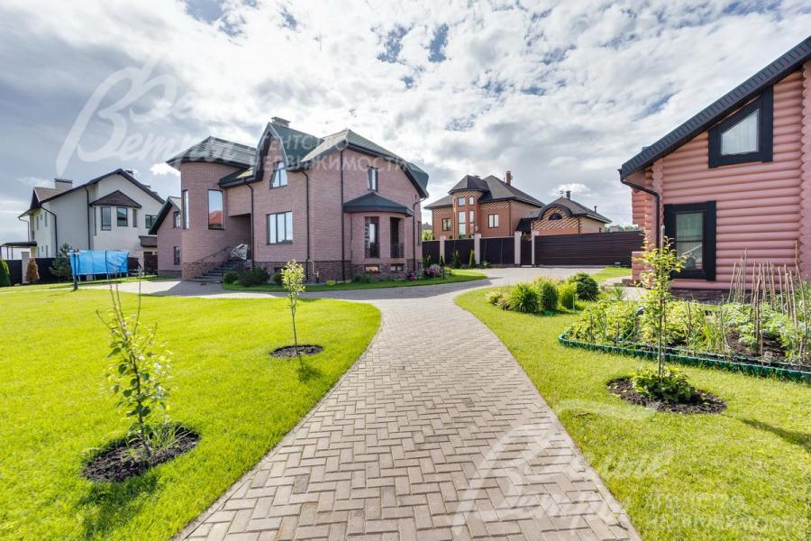 Высажены молодые плодовые деревья