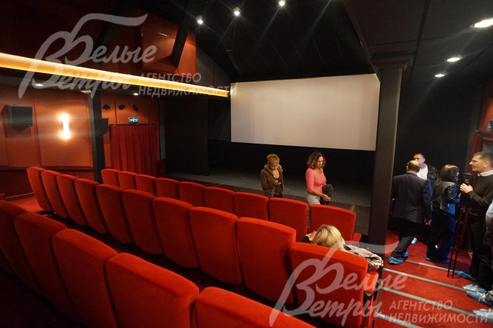 Кинозал в поселке Глаголево Парк