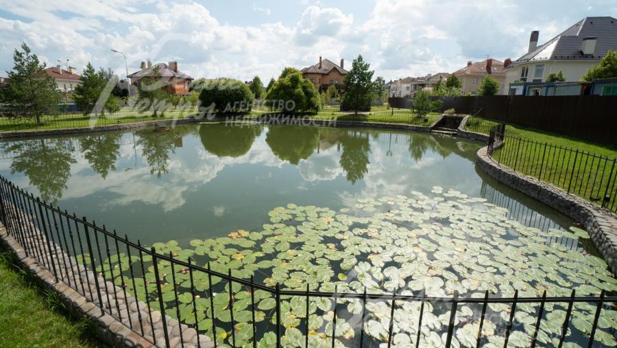 Пруд в поселке