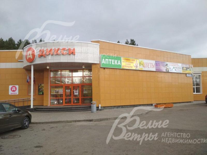 Торговый центр в 300 м от дома с продуктовыми магазинами, аптекой и др.