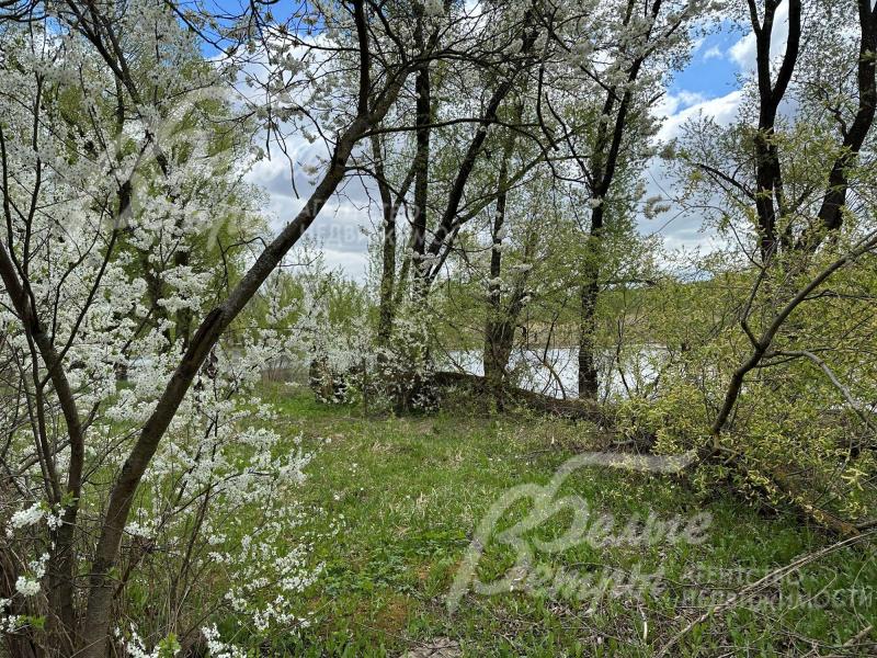 Участок граничит с большим прудом