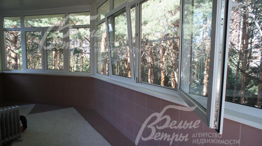 Вид с балкона на сосновый лес