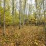 Участок, Зеленые холмы к/п (Першино), 20&nbsp;сот