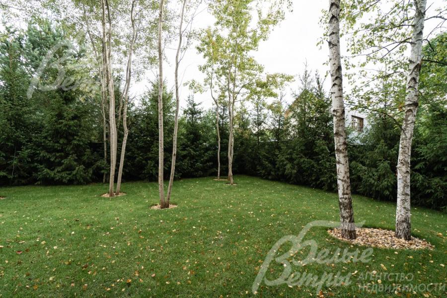 Высажен газон, сделана внешняя подсветка взрослых деревьев, растут 22 ели, 6 берез, 18 осин