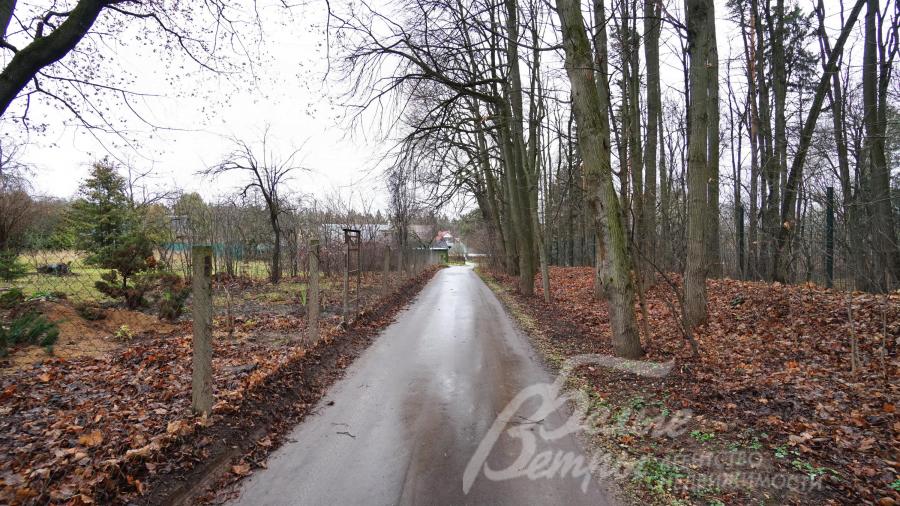 Асфальтированная дорога к поселку