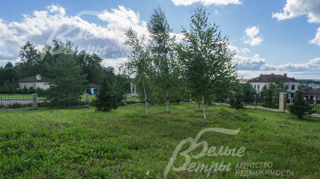 Участок ровный с деревьями по периметру