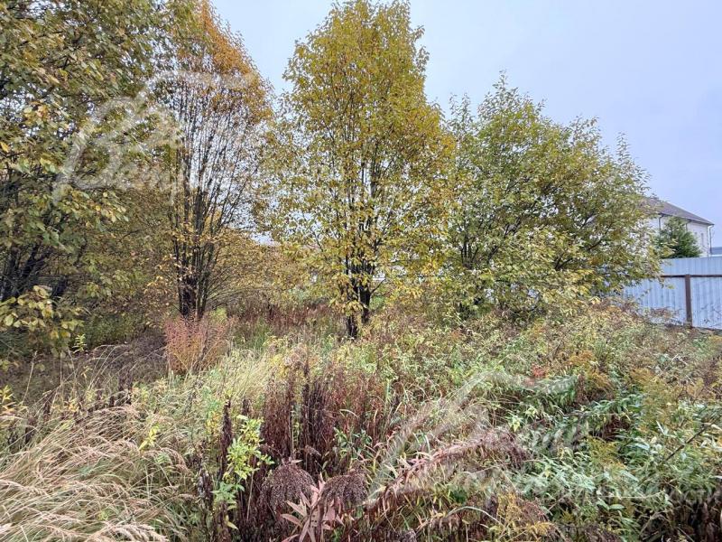 По трём сторонам участок огорожен забором из профнастила