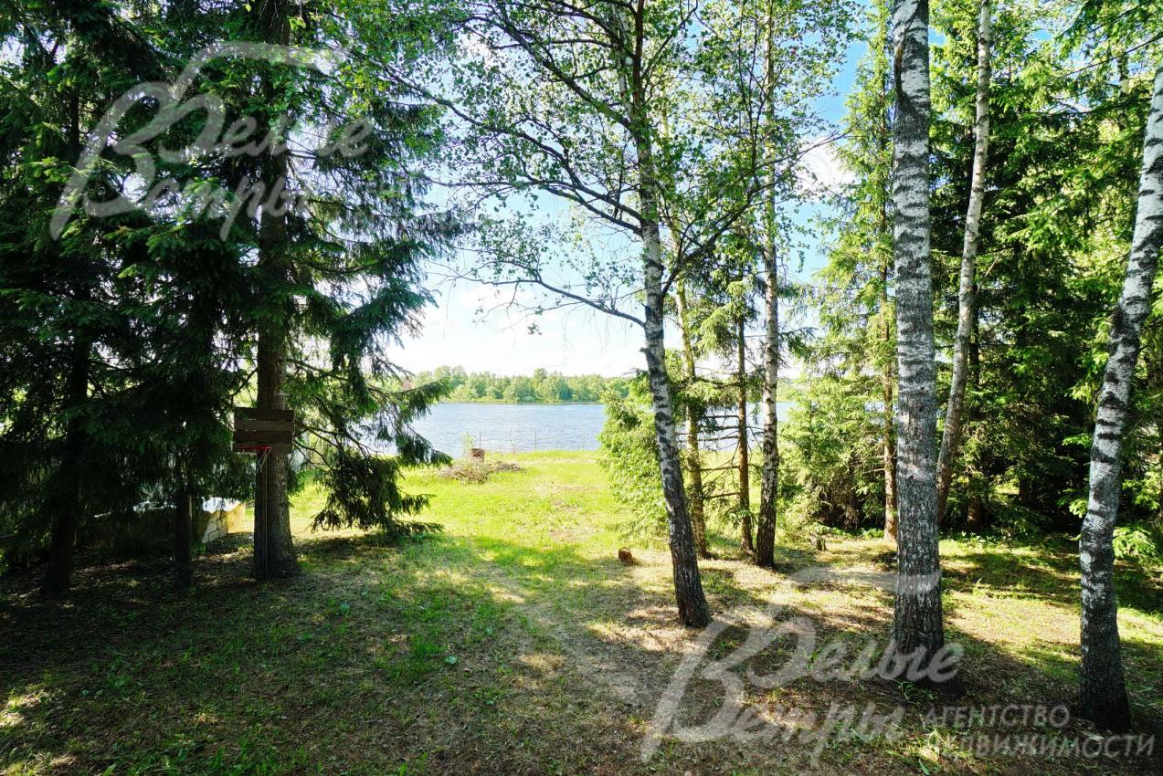 на территории взрослые деревья с пышными кронами, растут плодовые: яблони, груши, кусты ежевики и малины;