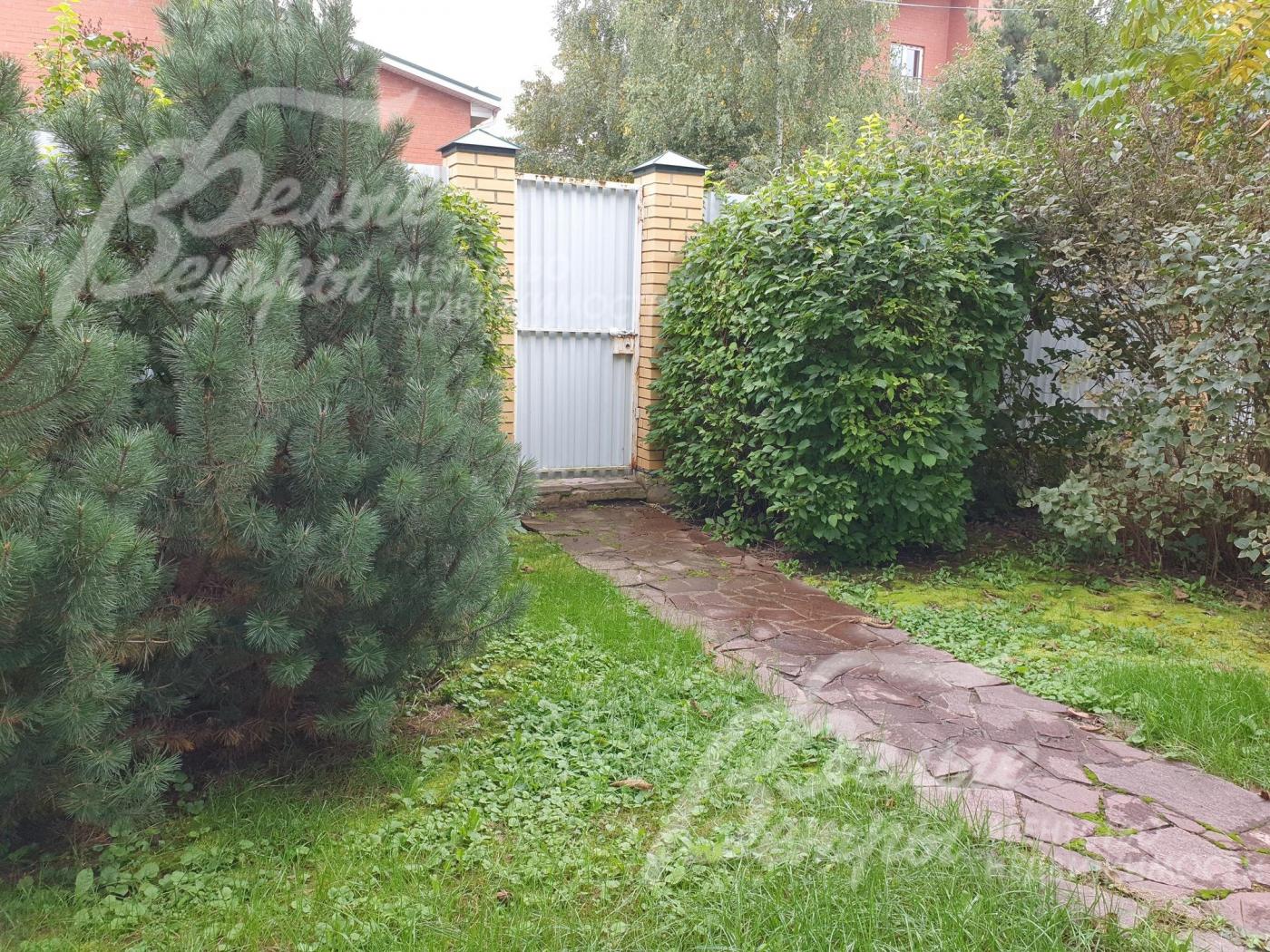 Взрослые деревья