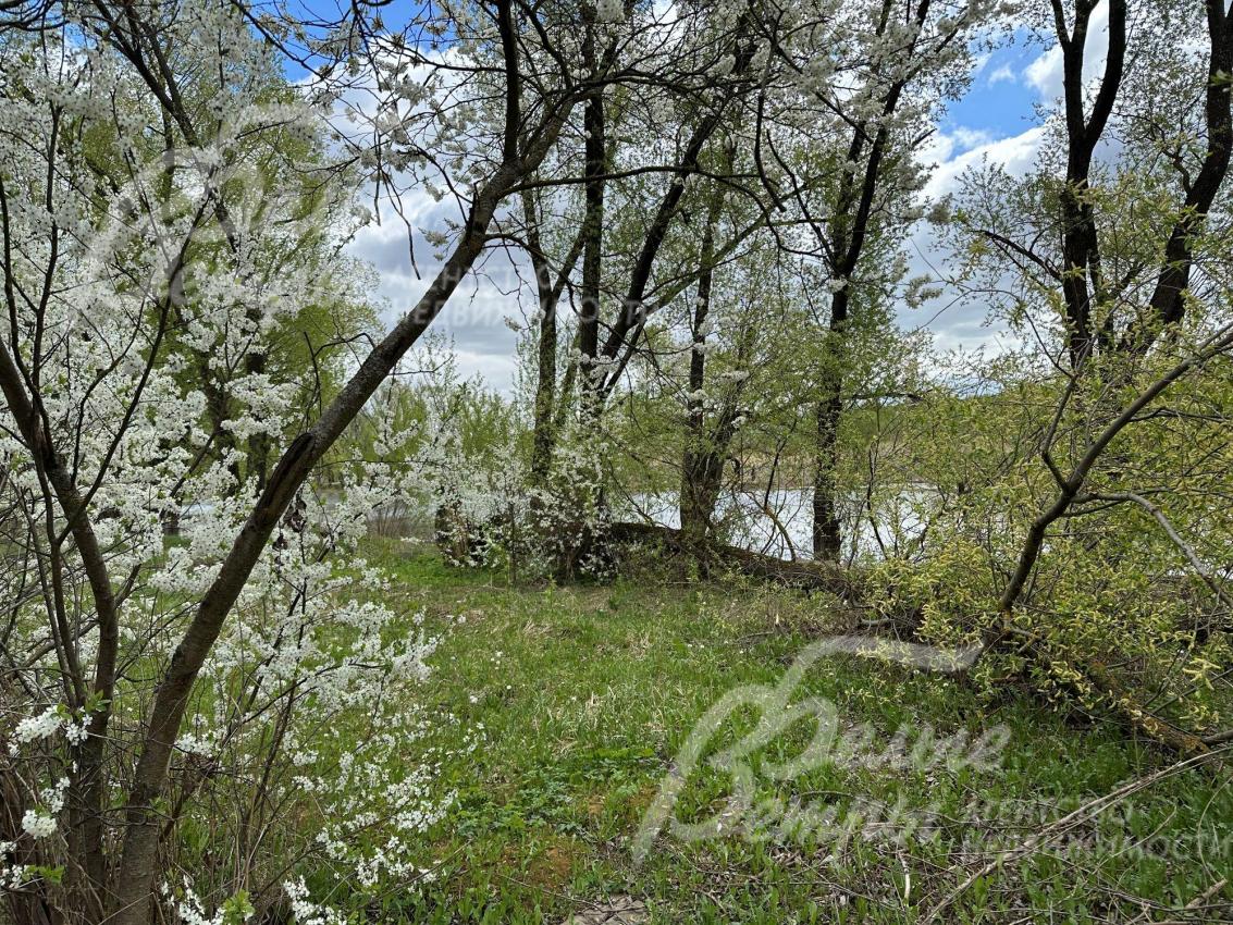 Участок граничит с большим прудом