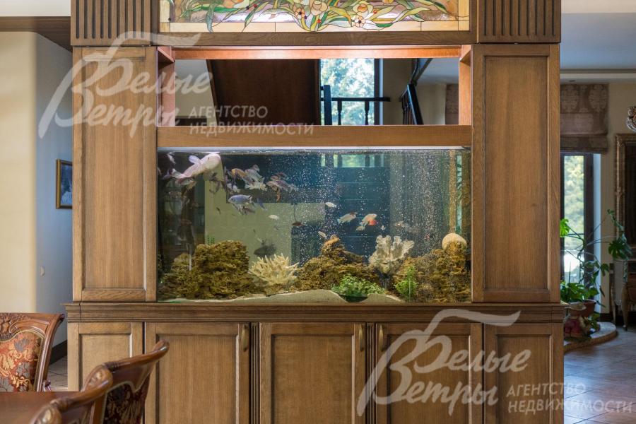 Прозрачный аквариум с витражом