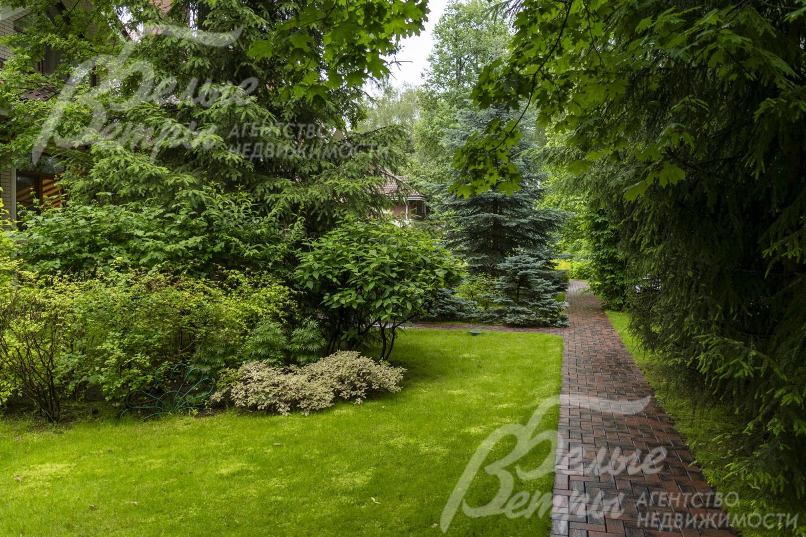 Тенистая дорожка участка пролегает под сенью сохранённых лесных деревьев