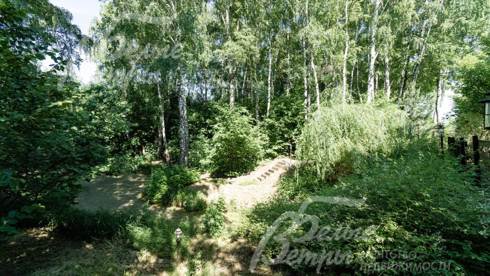 Дополнительная лесная зона 45 соток