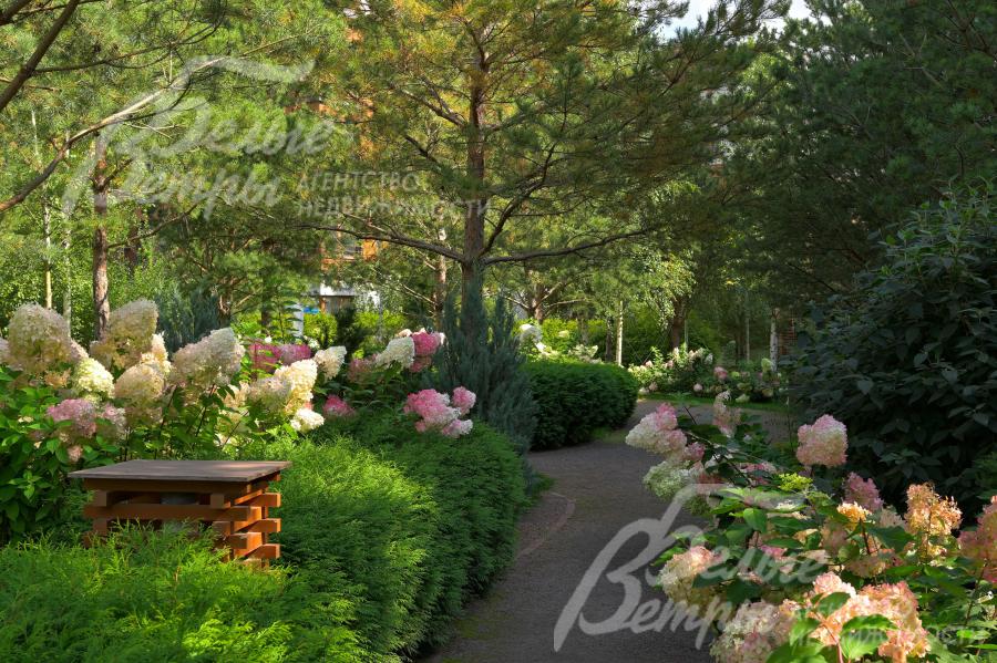 Зеленые приватные дворы