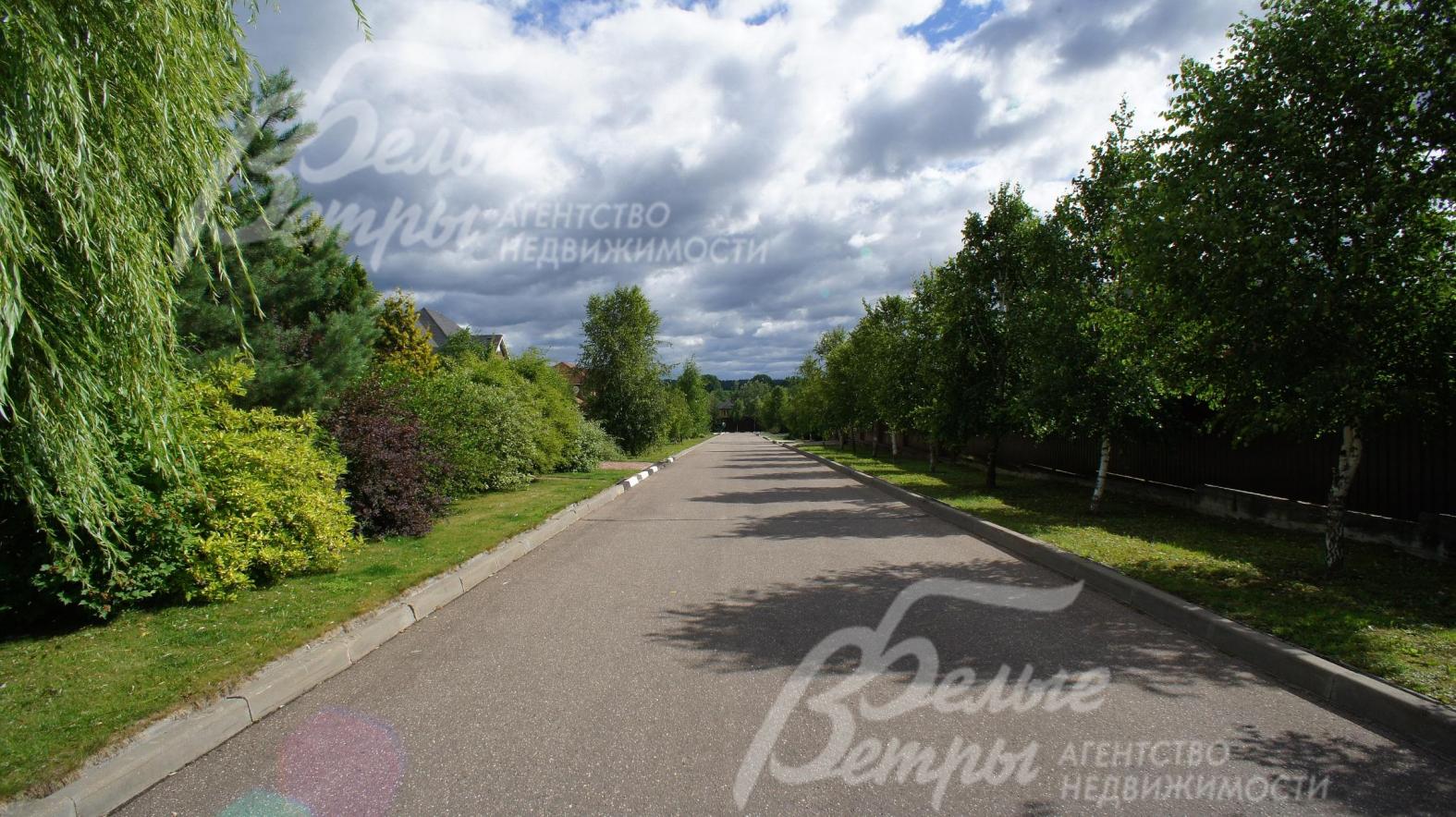 Улица поселка Новая Ильичевка