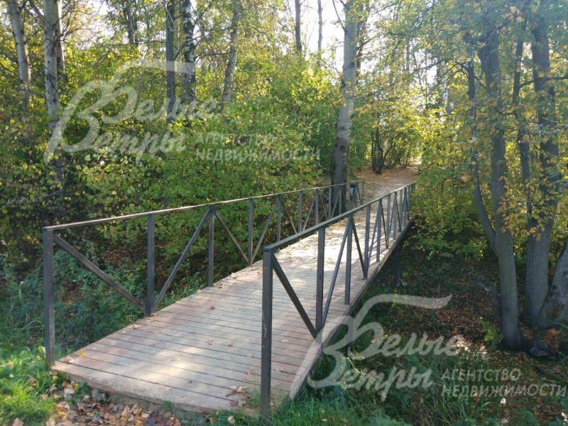 Прогулочная зона в лесу 