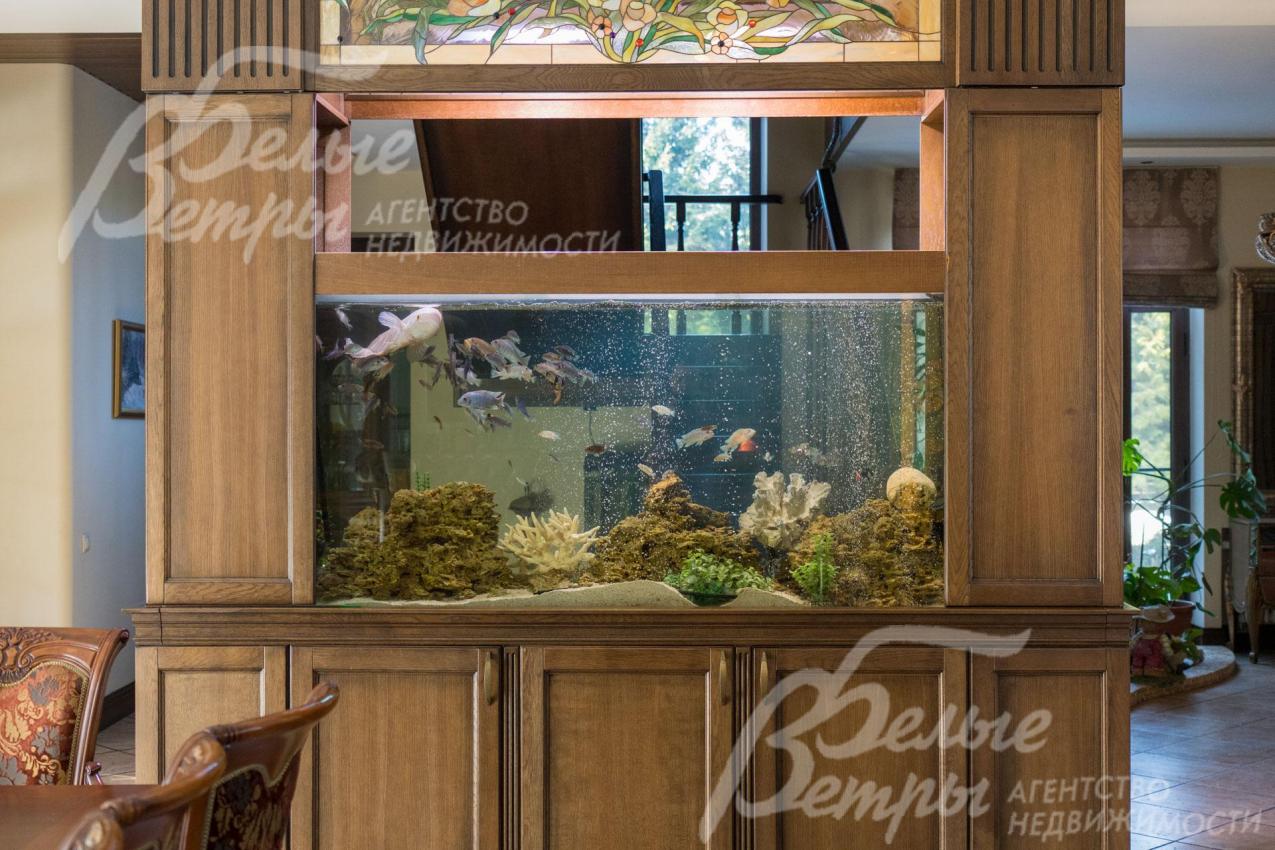 Прозрачный аквариум с витражом