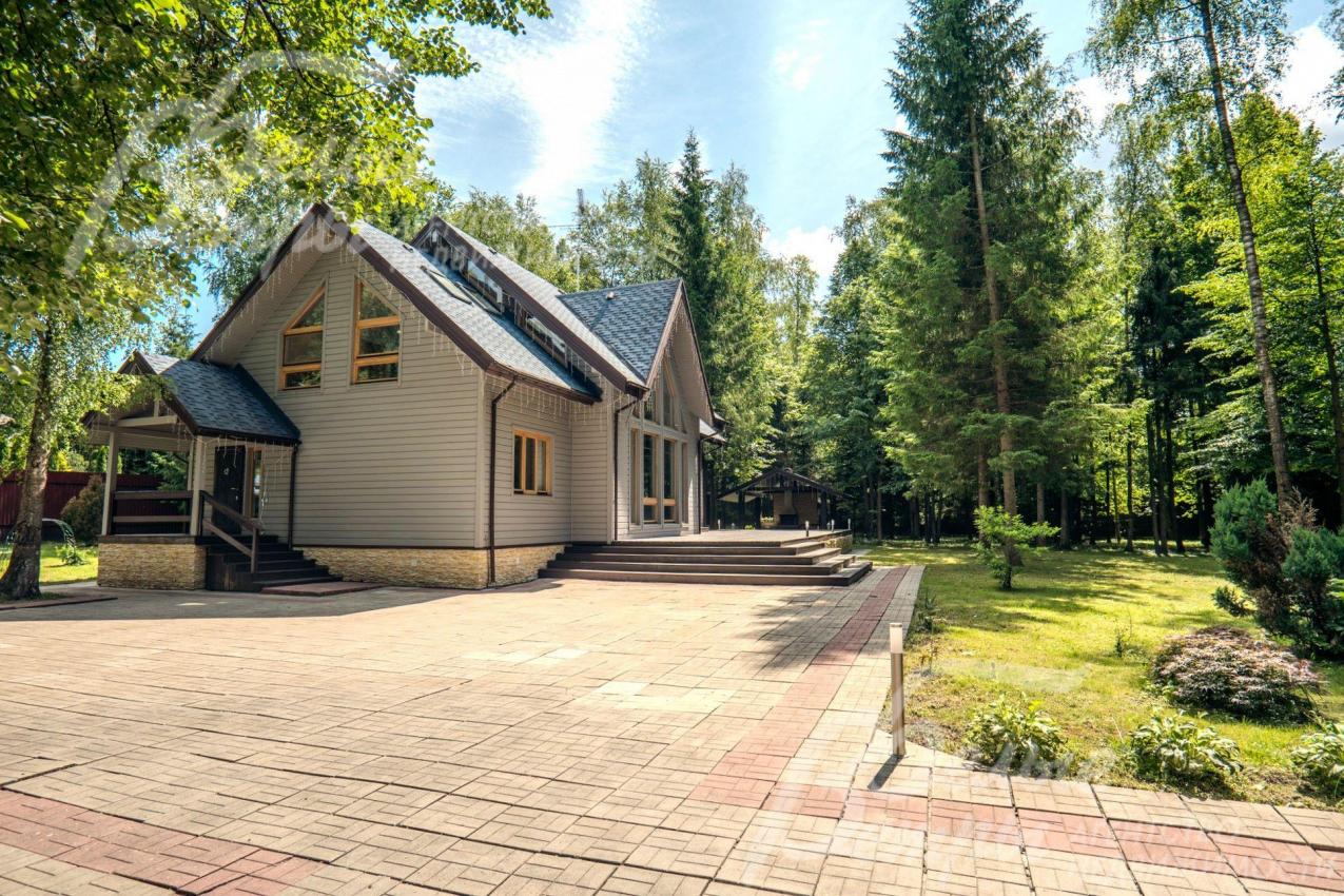 Лес на участке прорежен, растут лиственницы, берёзы, сосны, яблони